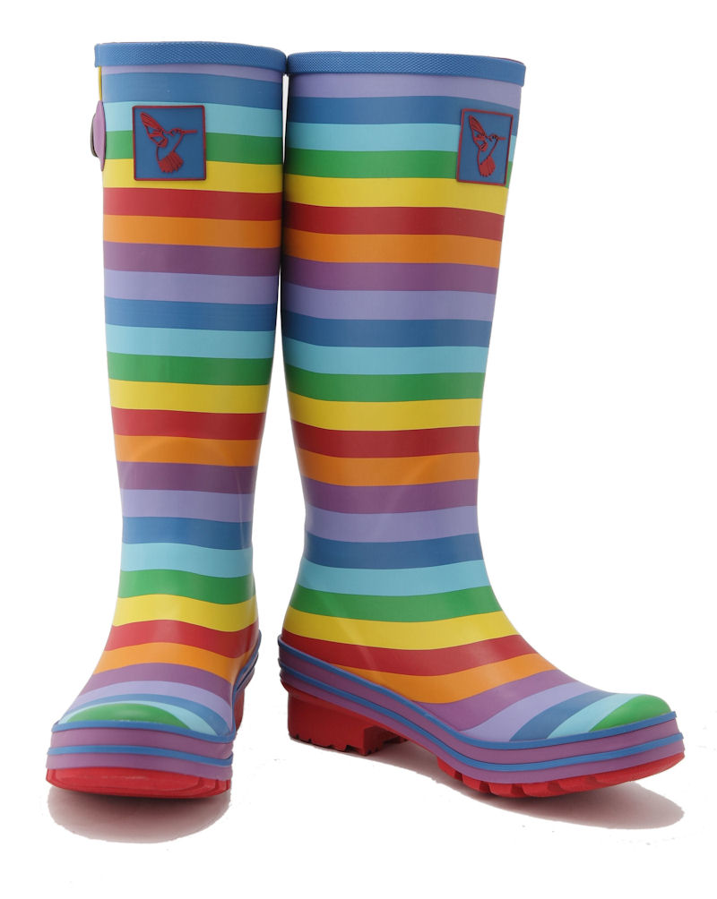 Dámské holínky gumáky Evercreatures Rainbow