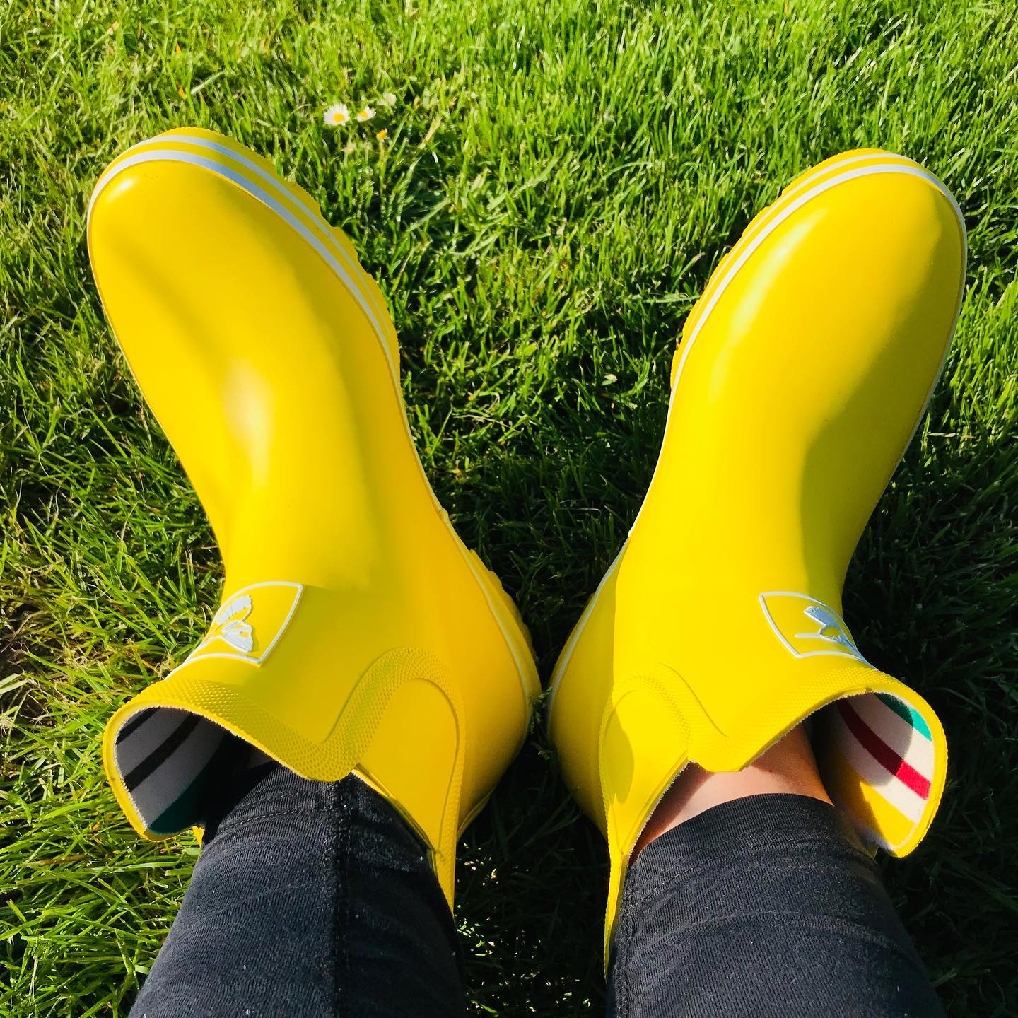 Dámské holinky Evercreatures nízké yellow žluté